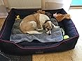 Hobbydog Borsa Trasporto Per Cani Piccoli | Elegante E Pratica, Con Clip Di Sicurezza