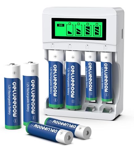 Caricabatterie USB-C Per Batterie AA/AAA 1.5V, Ricarica 8 Pile Contemporaneamente, Protezione Da Sovracorrente E Controllo Temperatura