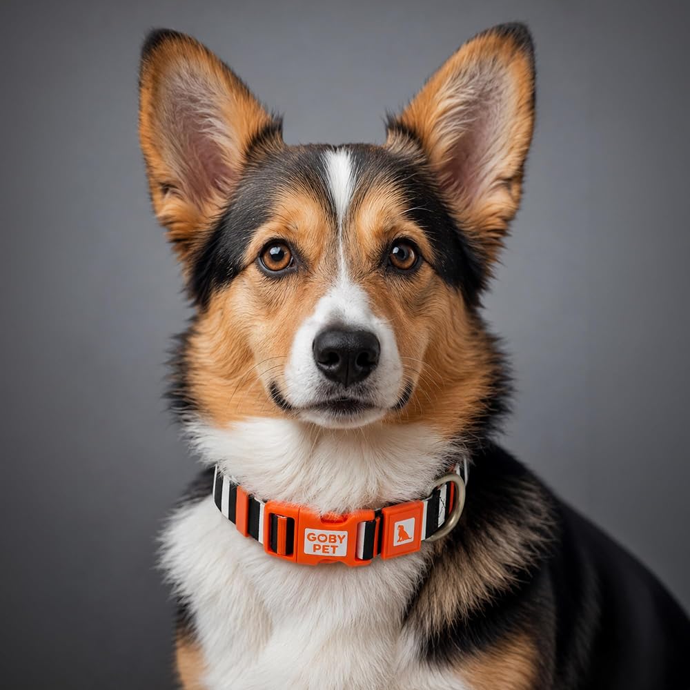 GOBYPET Desenli Köpek Boyun Tasması 25 mm, Ayarlanabilir 39-55 cm, Güçlendirilmiş Emniyet Kilitli Toka, Paslanmaz Metal D Halka, Dayanıklı Kumaş, Günlük Kullanım, Yürüyüş ve Eğitim İçin
