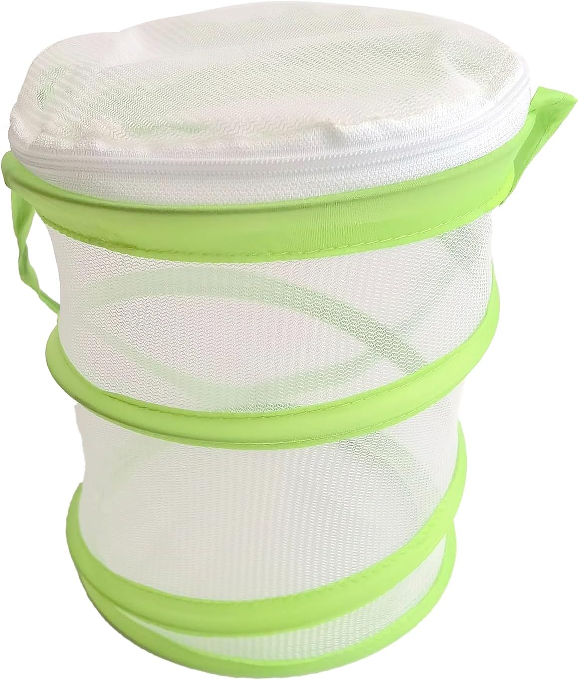 Butterfly Net,Stick Insect Starter Kit,Collapsible Bug Catcher Net,Butterfly Cage for Scientific Exploration