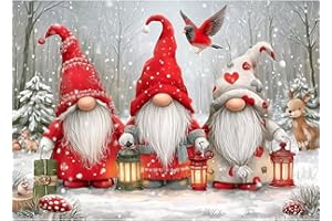 CEOVR Gnome Diamond Painting Adulte,​Noël Diamant Painting Adulte,5D DIY Xmas Diamond Art Kit 30x40cm