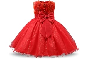 NNJXD Vestido de Fiesta de Princesa con Encaje de Flor de 3D sin Mangas para Niñas