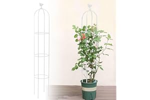 Kalolary 6 Fuß hohes Gartenspalier für Kletterpflanzen Garden Tower Obelisk Rankgitter Rostfreies Metall Topfpflanzen Kletterhilfe für Indoor Outdoor Blumen Gemüse Obst Reben Support (Weiß)