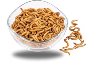 ENTAVA Mehlwürmer 1 kg, lebend, frisch, Vogelfutter, Fischfutter, Igelfutter, Reptilienfutter (Futterinsekten vom Hersteller aus Deutschland)