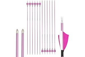 limaity 12 Stück Bogenschießen Carbonpfeile 400/500/600/700/800/900/1000 Spine mit True Feather Shooting Bogenschießen Praxis Jagdpfeil für Recurve-Bogen Compound-Bogen