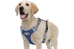 ACXILEXY Harnais de Chien Anti Traction, Harnais Chien Respirant Réglable Facile à Mettre, Réfléchissant Réglable Gilet Chien, Gilet Rembourré Confort Mesh Doux pour Petit Chien Moyen Grand