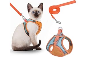 Nicola Katzengeschirr und Leine Set, einstellbare Escape Proof Kätzchen Weste Geschirr und Leine mit reflektierenden Streifen für große mittlere kleine Katzen (M-Orange)