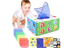 DINORUN Giochi Montessori 6 Mesi，Giochi Educativi Montessori Scatola dei Fazzoletti per Bambini Giochi Neonato 6 7 8 9 10 11 12 Mesi
