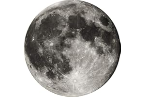 WINCAL Tappetino per piedi, Tappetino rotondo antiscivolo Tappetino per seduta Tappeto lavabile Tappetino per sedia Rotray Arredamento camera da letto(60cm)