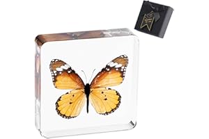 ‎1ST HEAVEN 1st Heaven Präparierter Schmetterling, Echter Schmetterling in Harz - Briefbeschwerer mit Geschenkbox - Geschenk für Naturliebhaber und Neugierige Gemüter