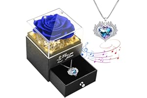 Hsuner Preserved Real Rose Gifts, Eternal Rose with Angel Wing Love Heart Jewelry Necklaces,You are My Sunshine Music Box, Romantic Gifts for Mum Women, Valentine's Day, Anniversary, Birthday Day