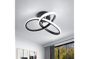 Goeco Lustre LED Plafonnier, Luminaire Plafonnier LED Moderne 22W 2500LM, Lustre Noire pour Chambre Salon Couloir, Diamètre 26cm, Lumière Blanche Froide 6500K