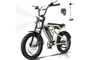 COLORWAY BK29G 20" *4.0" Vélo électrique Tout-Terrain avec pneus 20 x 4,0, Batterie 36V 12Ah, Moteur 250W,Ebike,écran LCD, autonomie jusqu'à 35-90 km.