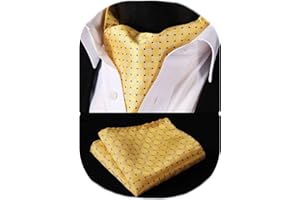 HISDERN Corbata Ascot y Pañuelo Para Hombre Conjunto Corbatas Con Pañuelos Paisley Floral Regalo Boda Elegante Clásico Para Fiesta Business