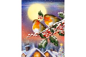 DCIDBEI 5D Pintura Diamante Pájaro Pintura por Números Set Fruta Roja Animale Cuadros Diamantes Arte Lienzo Cristal Rhinestone Artesanía para el Hogar Decoración de Pared 30 x 40 cm