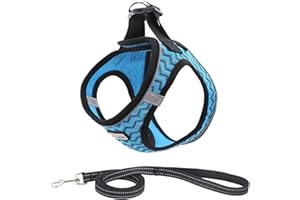 Suredoo Hundegeschirr mit Leine Anti Zug Geschirr Reflektierend Brustgeschirr für Kleine Hunde, Haustiere, Welpen, Katzen (Blaue Welle, XS)