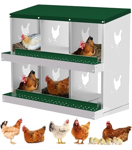 Legenest für Hühner Koll Living Eiernest für Geflügel - Hochwertige Variante, Verschiedene Varianten (Legenest 2 tlg. Unterteil Legenest für Hühner Koll Living Eiernest für Geflügel - Hochwertige Variante, Verschiedene Varianten (Legenest 2 tlg. Unterteil