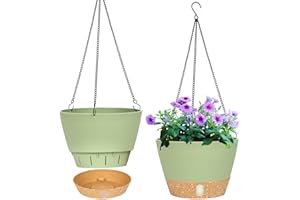 QCQHDU Lot de 2 jardinières suspendues, 20.3 cm de diamètre pour l'intérieur et l'extérieur, Pot de Fleurs Suspendu avec Trou de Drainage et 3 Crochets pour Le Jardin et la Maison (Vert)