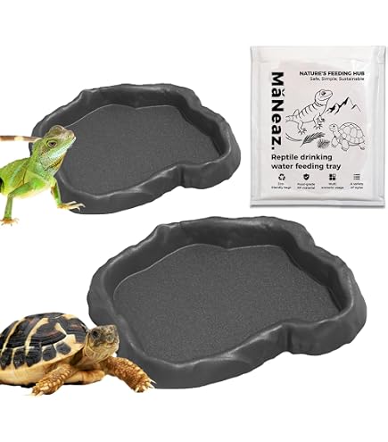 Bassin à Eau Pour Reptiles Avec Rampe – 35x28,5x4,3 Cm – ABS – Pour Tortue, Dragon Barbu, Grenouille – Piscine Amovible