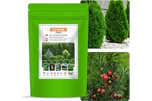 GREEN ORO HYDRO AKI 1,5 kg Höstgödsel för thuja och barrträd