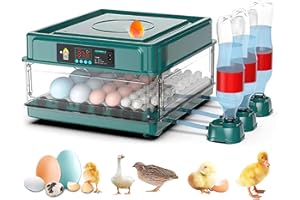 QAWNER Incubatrice automatica per uova di gallina, 15-36 uova, con sistema di ritorno automatico e controllo della temperatura, per scoppio di uova di gallina anatra quaglia (36 uovo)