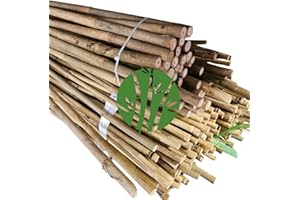 GENERICO Set di 10 Tutori in Bambù Naturale – Pali per Pomodori, Sostegni per Piante da Interno ed Esterno – Bastoni per Orto e Giardinaggio – Lunghezze da 120 a 240 cm (H cm 150 X Ø mm 14-16)