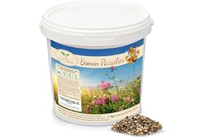Magic of Nature: Flower Seeds Mix - Bi-Paradise | Blomsteräng för Pollinatörer - Över 20 Växtsorter Räcker till 300-500 m²
