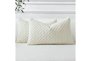 Sungeek 2er Set Kordsamt Kissenbezüge, Dekorativ Zierkissenbezüge Weich Kissenbezug Dekokissen Sofakissen Boho Deko Bezug Kissenhülle für Sofa Schlafzimmer Wohnzimmer (Creme Weiß, 40x60 cm)