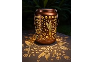 DGPLUS Solar Hummingbird Garden Light for Mum, Grandma, Women – Hanging Metal Waterproof Outdoor Lantern for Yard, Patio, Porch – Gift for Her, Christmas, Birthday (Hummingbird)