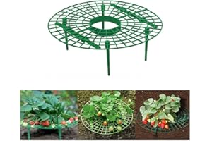 Limeow Supporto per piantagione Borse per piantagione di Fragole Stand di Fragole Strawberry Plant Grow Bag Verde per Fragola Pomodoro Giardino e Giardino Cremagliera della Crescita 5 Pezzi