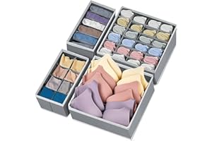 SURLIFE Organizer Cassetti Armadio, Set di 4 Organizzatori per Biancheria Intima Pieghevole, Divisori per Cassetti Salvaspazio, per Reggiseni, Mutande, Calzini, Cintura, Cravatta (GRIGIO CHIARO)