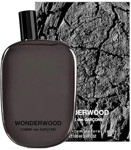 Comme des Garcons - Black - 100ml by Comme des Garcons : Amazon.es