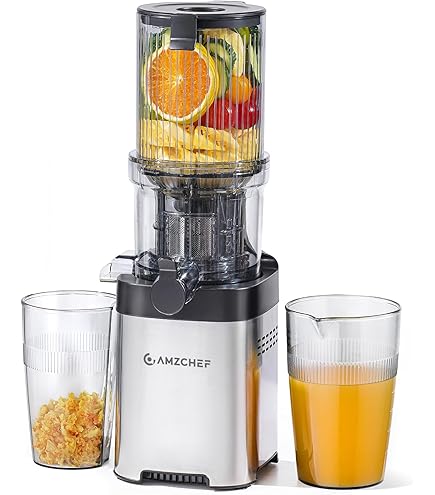 Oscar Neo Slow Juicer DA 1000 - Horizontal Cold Press Juicer