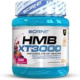 HMB XT 3000-3000 mg de HMB en polvo anticatabólico con Glutamina, Magnesio, Vitamina B6 y Vitamina D - Sabor frutos del bosqu