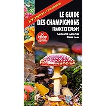 Conseils pour bien débuter en moyenne section par
