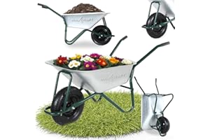 MAXCRAFT Schubkarre 250 kg 100 L Bauschubkarre Gartenschubkarre Transportkarre Schiebkarre mit Luftbereifung - Grün