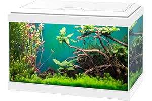 Ciano Aqua 20 Classic Aquarium Fish Tank - White