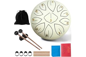 TAECHALINGO Rain Drum - Tambour de pluie 11 notes de 15,2 cm - Tambour de pluie - Tambour de pluie - Tambour de pluie - Tambour de pluie - Tambour de pluie avec maillet - Instrument de percussion (25,4 cm - 15,24