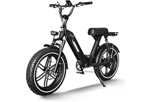 ‎HIMIWAY Himiway Escape Pro Ebike 48V 17.5AH/840WH Akku Elektrisches Lastenfahrrad 20"×4" Fetten Reifen Elektrofahrrad 250W 25Km/h für Pendeln bis zu 80KM mit Doppeltes Stoßdämpfersystem 20cm mit Rücksitz