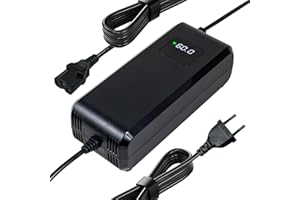 YANGZIDIANYUAN Cargador de batería de plomo ácido 60 V 20 Ah para scooters eléctricos, cargador de CA y CC con pantalla de enchufe de 3 pines