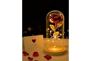 ANBET Hoja de Oro 24K Rosa en Cubierta de Vidrio Bella y la Bestia Rose en Glass Dome Rosa Eterna LED Light Día de la Madre Regalo de Bodas de Aniversario de San Valentín