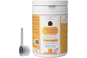 GAIAVITAE GAIA VITAE - Tierra de Diatomeas - Micronizada Activada – E551 – Dióxido de Silicio Grado Alimentario – Polvo Ultrafino 100% Natural – Alta Pureza ≥90% SiO₂ – 200 g