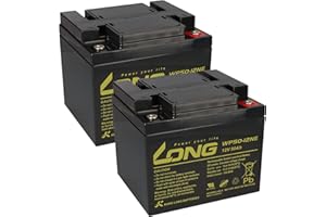 WSB 2 batterie al piombo AGM 12 V/50 Ah – WP50 – 12NE senza effetto memoria, compatibili con MP50 – 12C, 12LCP-50, REC50 – 12I