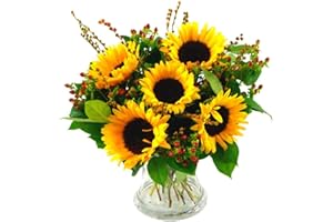 Clare Florist Radiant Sunflower Surprise Fresh Flowers Bouquet - Gorgeous Sunflowers Hand Arranged