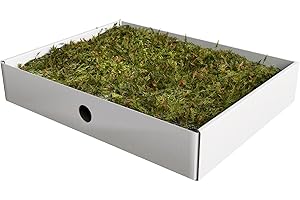 ICE TOYS Muschio 150 Grammi Circa in scatolina per presepe lavoretti Vasca animaletti (Muschio 150g)