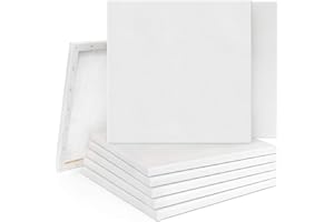Supernic 10PCS 20x20cm Blank Artist Canvas Art Board Plain Painting Stretched Framed for Painting Enthusiast