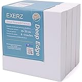Exerz Tele intelaiate 4 Pezzi 20x20cm 3,8cm Spessore Bordo Profondo / 380GSM/ Prestirato 100% Cotone/Imprimitura/Triplo Innes