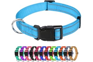 TagMe Reflective Nylon Dog Collars, Adjustable Classic Pet Collar with Quick Release Buckle for Small Dogs, SkyBlue, 2.0 cm Width