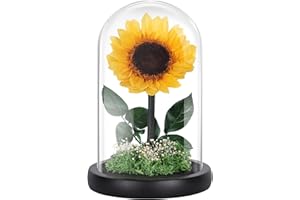 MAMAMIKO Konservierte Sonnenblumen im Glaskuppel – Ewige Echte Blumen, Haltbar bis zu 5 Jahre, Forever-Blumengeschenk für Frauen, Ehefrau, Freundin, Abschluss, Geburtstag, Jahrestag