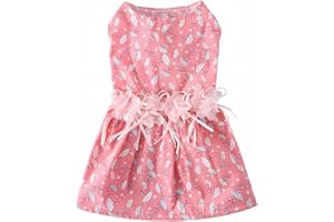 YWSTYllelty Hundemantel Winter Für Chihuahua Kleid Prinzessin Kleid Hündchen Schöne Erdbeere/Haustier Ananas Paare Haustierkleidung Hundemantel Schwarz (Pink #2, S)